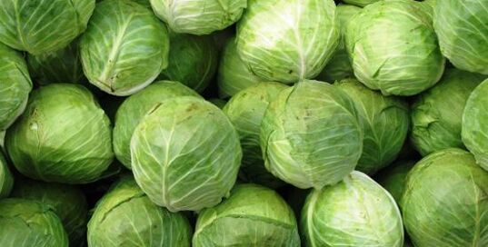 cabbage for a compress for knee osteoarthritis