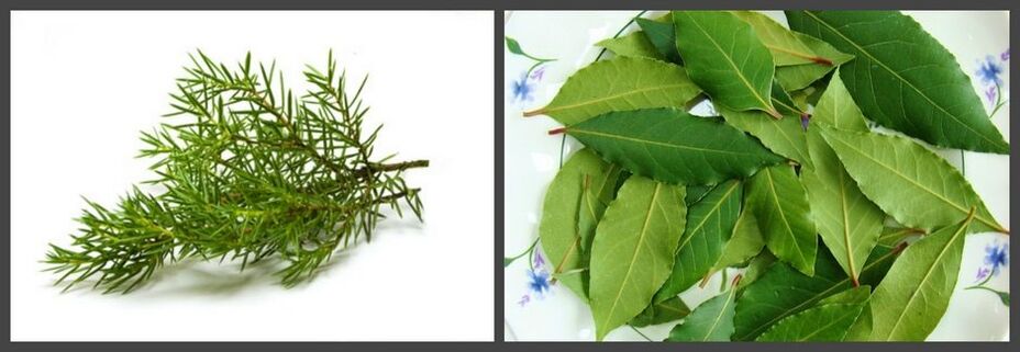 Juniper and bay leaf as part of the ointment will help relieve pain in osteochondrosis. 